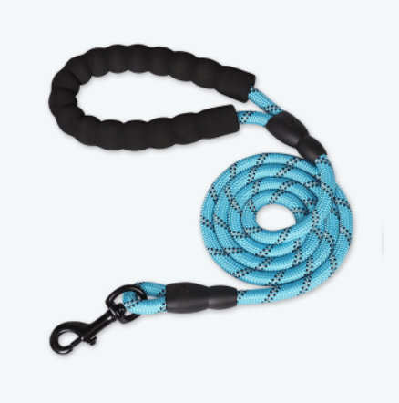 Reflective Nylon Dog Leash - Enhance Safety And Style On Walks